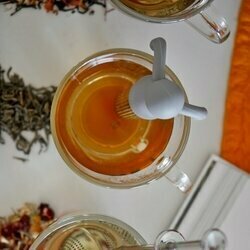 Zaparzacz do herbaty nierdzewny Tadar Silico Ludek